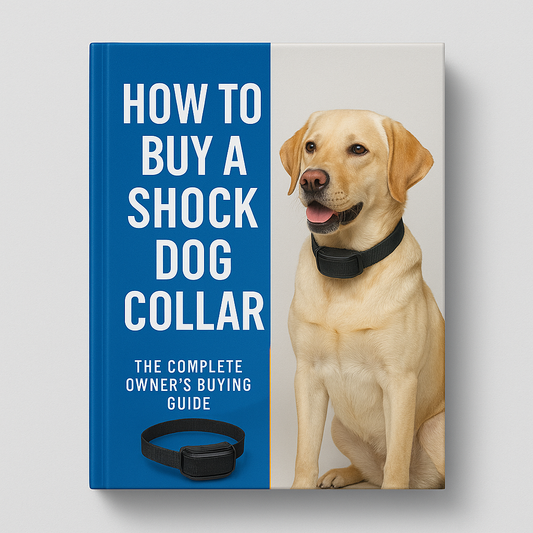 How To Buy A Shock Dog Collar